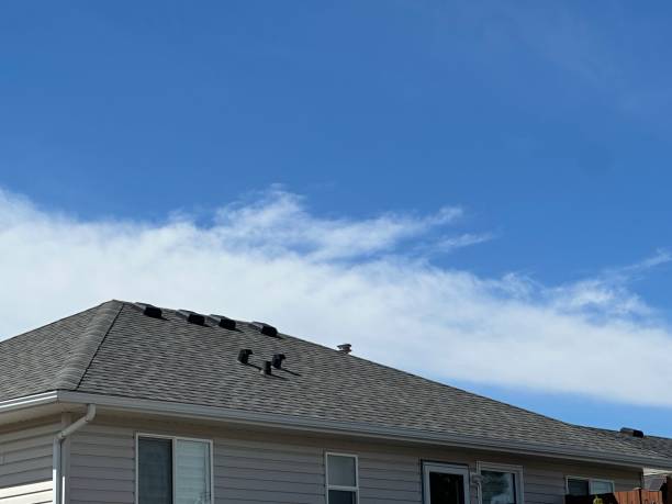 Best Rubber Roofing (EPDM, TPO)  in East Rockaway, NY